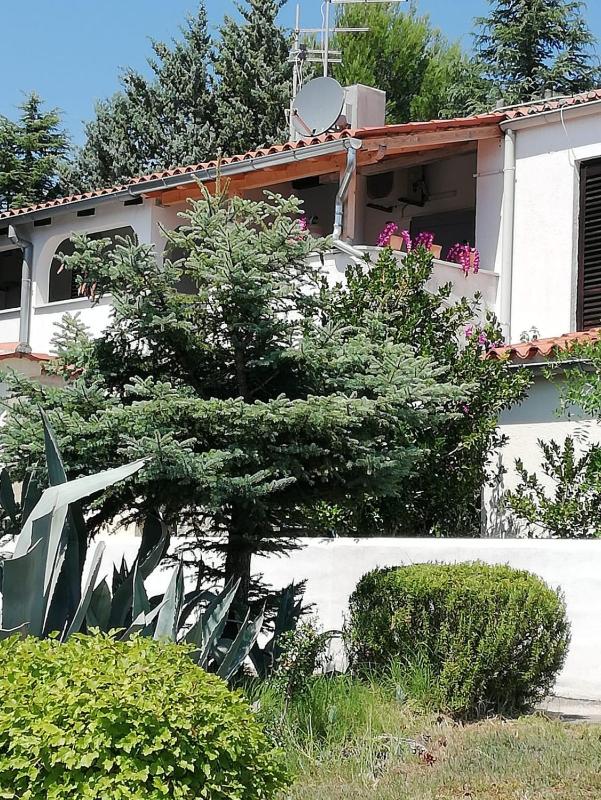 Apartment Enis - image 8