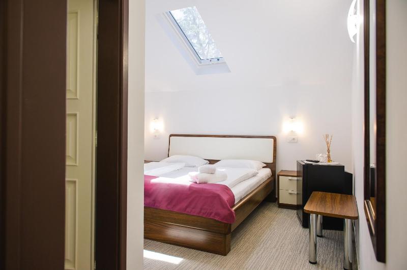 Double Room - Attic image 1
