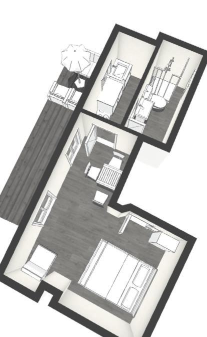 Large Studio with Terrace image 3