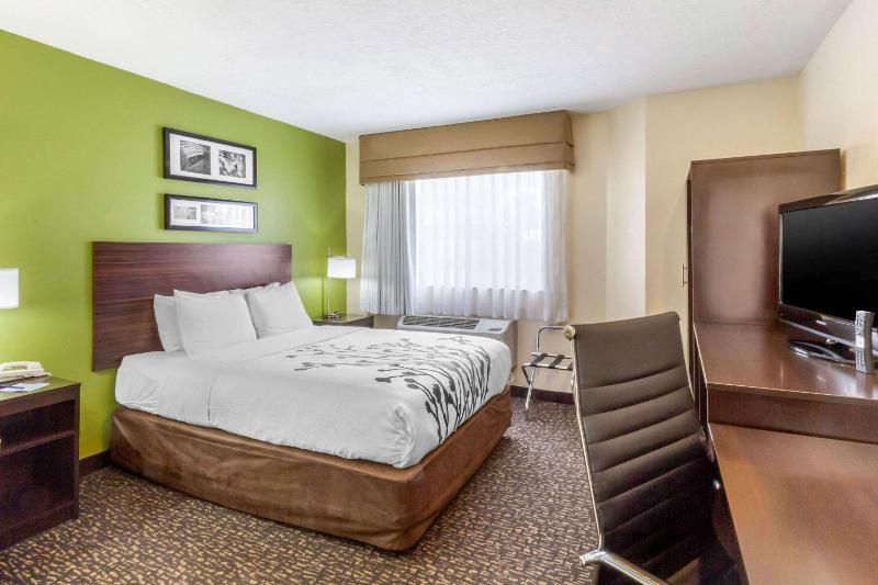 Queen Room - Non-Smoking image 2