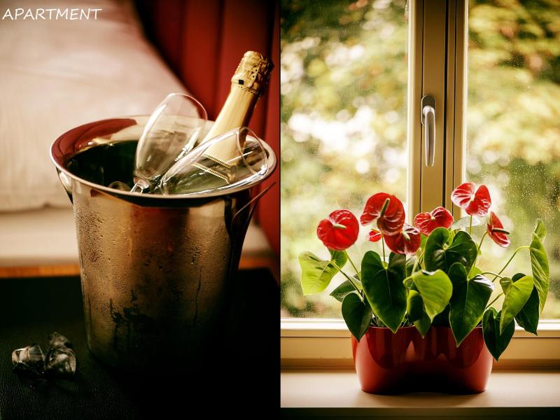 Superior Apartment image 2