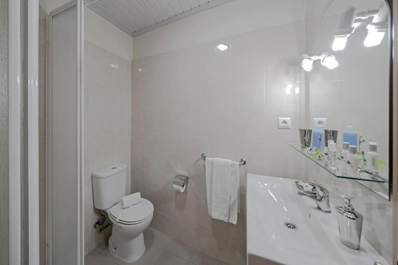One-Bedroom Apartment image 2