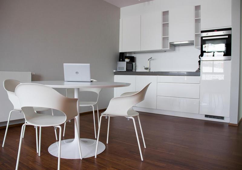 One-Bedroom Apartment image 4