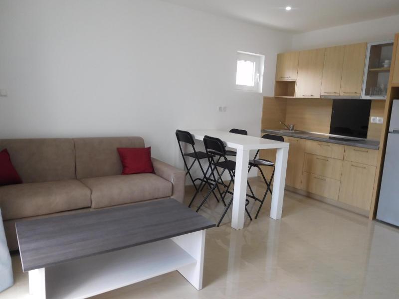 One-Bedroom Suite image 1