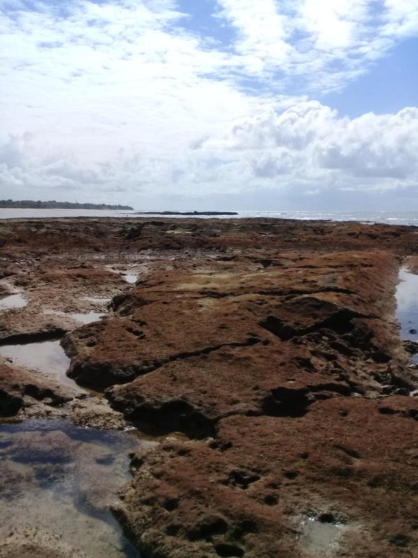 Pousada Formosa - image 13