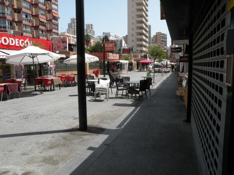 Los Pinos - Fincas Arena - image 21