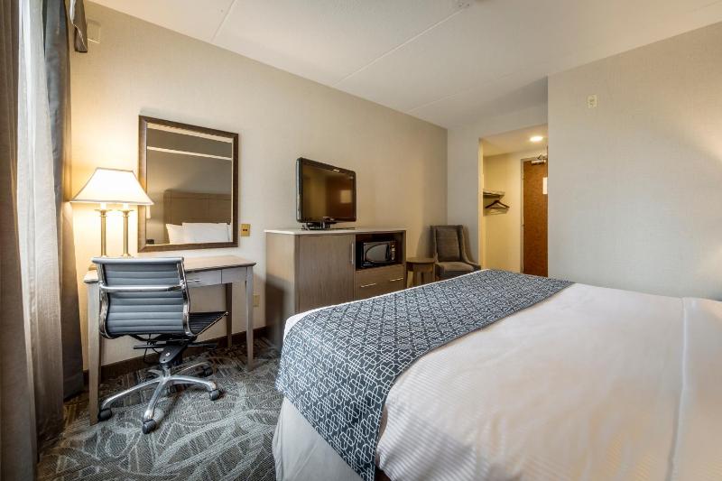 Standard Room with 1 Queen Bed