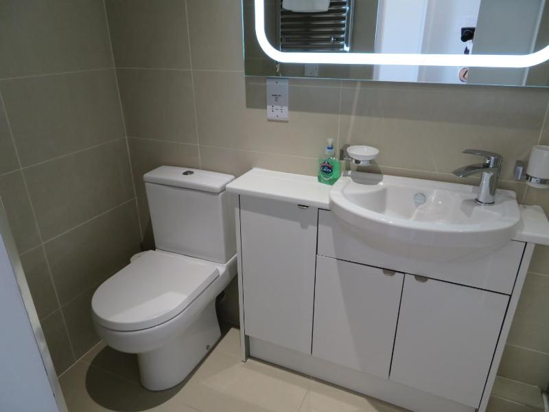 Deluxe Double Room image 3