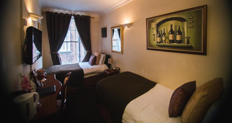 Dublin Citi Hotel of Temple Bar - image 9