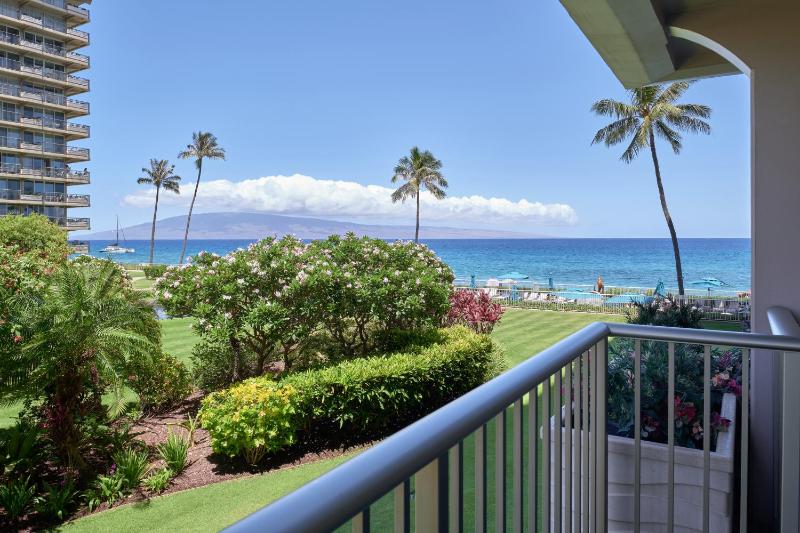 Studio with Ocean View image 2