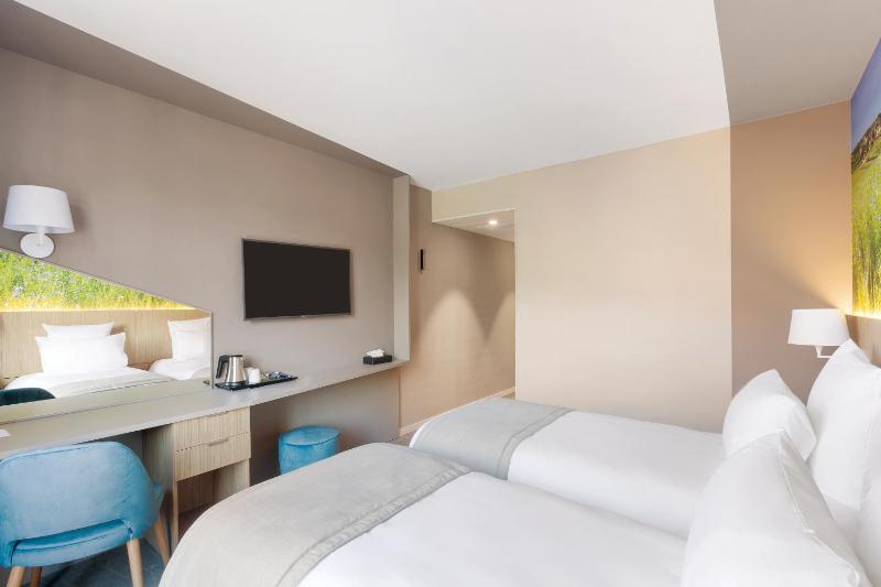 Standard Twin Room image 2