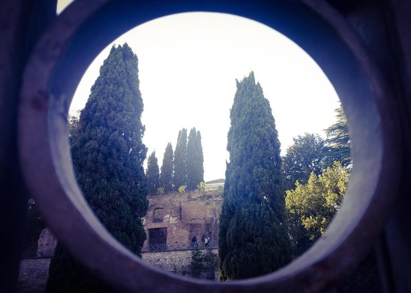 Two-Bedroom Apartment image 3