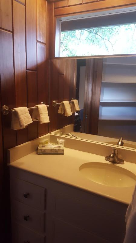 St Moritz Lodge and Condominiums - image 17