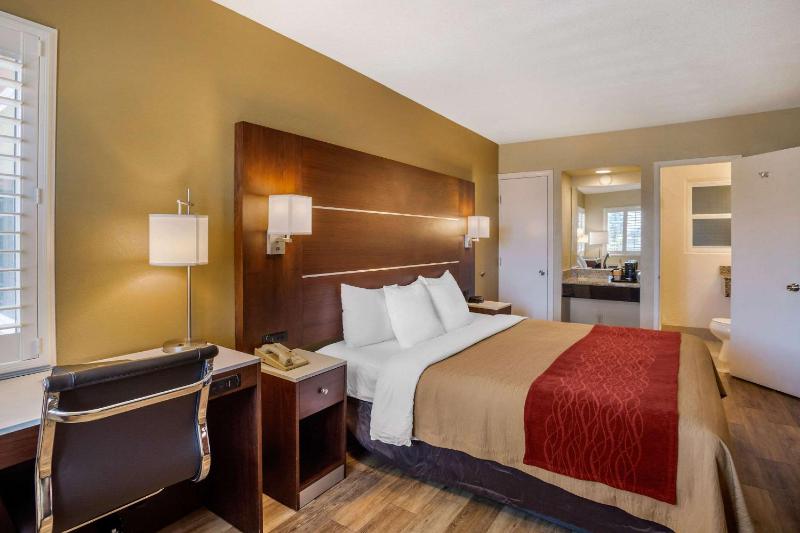 Standard Room, 1 King Bed, Non Smoking image 4
