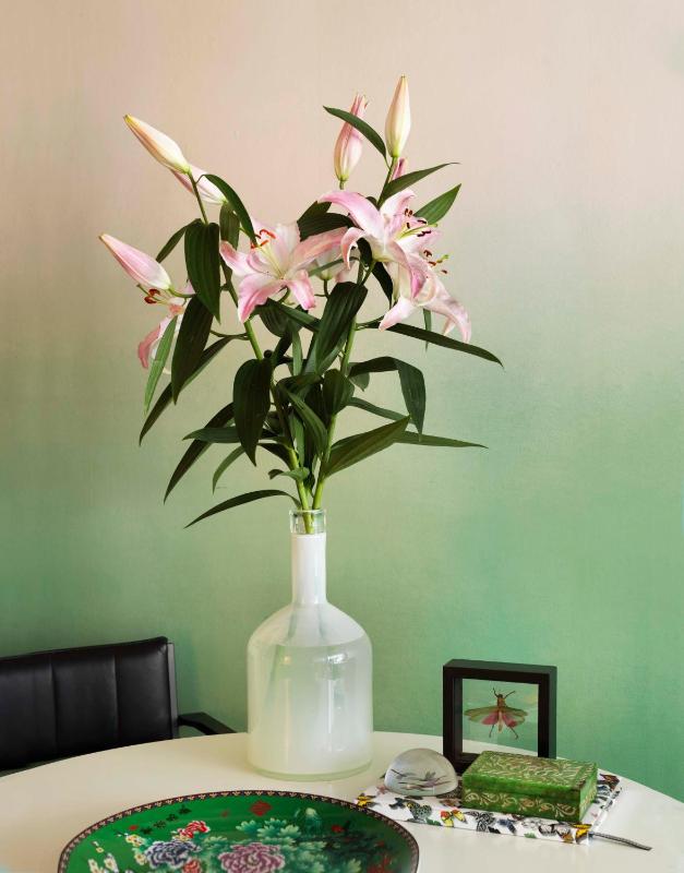 Garden Suite image 4