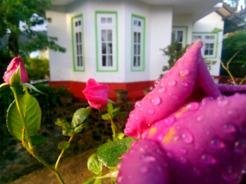 Nuwara eliya mountain view homestay - image 35