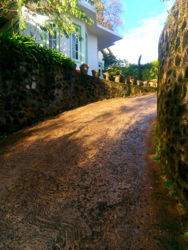 Nuwara eliya mountain view homestay - image 16