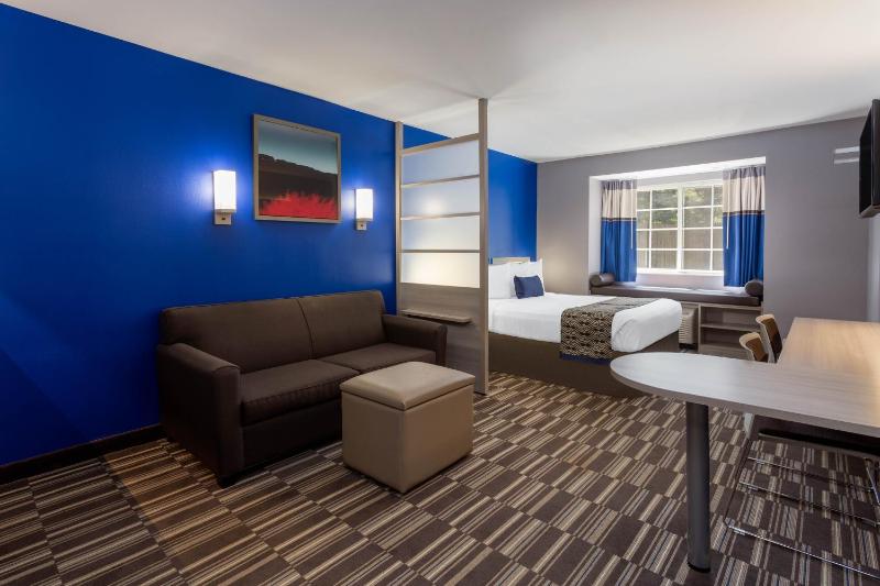 1 Queen Bed, Mobility Accessible Studio Suite, Bathtub w/ Grab Bars, Non-Smoking image 3