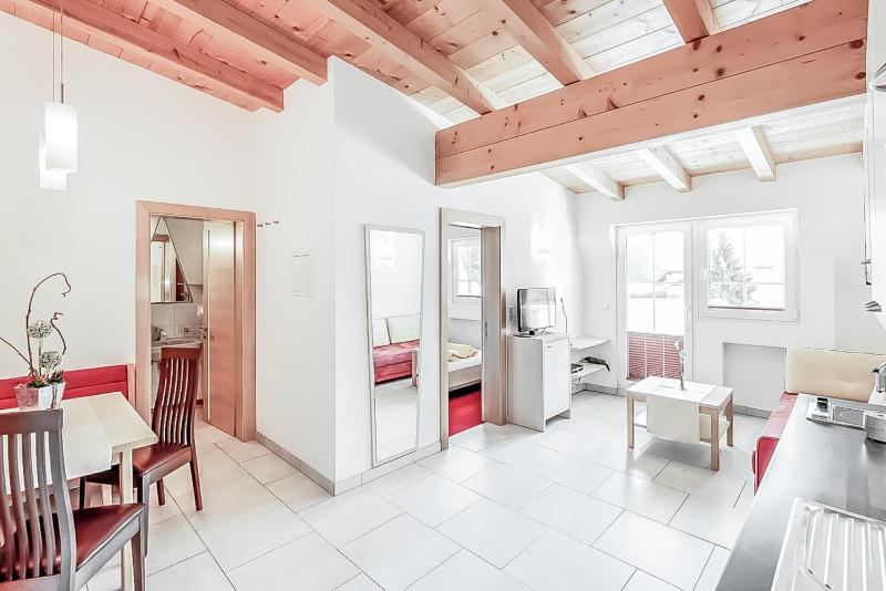One-Bedroom Apartment image 3