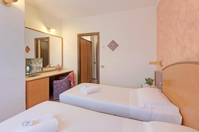 Classic Twin Room image 1