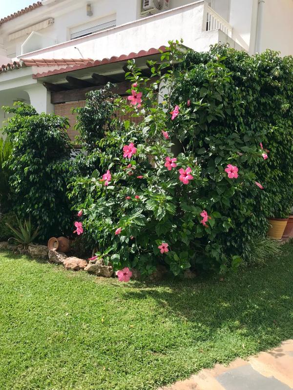 Apartamento Holidays on the Beach - image 24