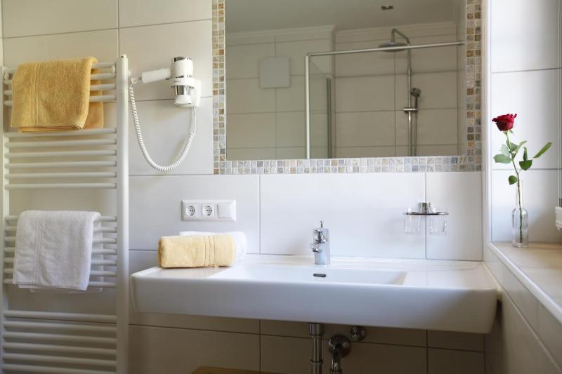 One-Bedroom Apartment image 2