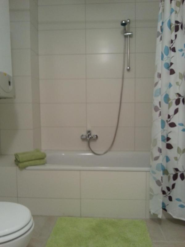 Standard One-Bedroom Apartment 3 image 4