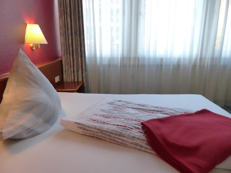 Double or Twin Room image 3