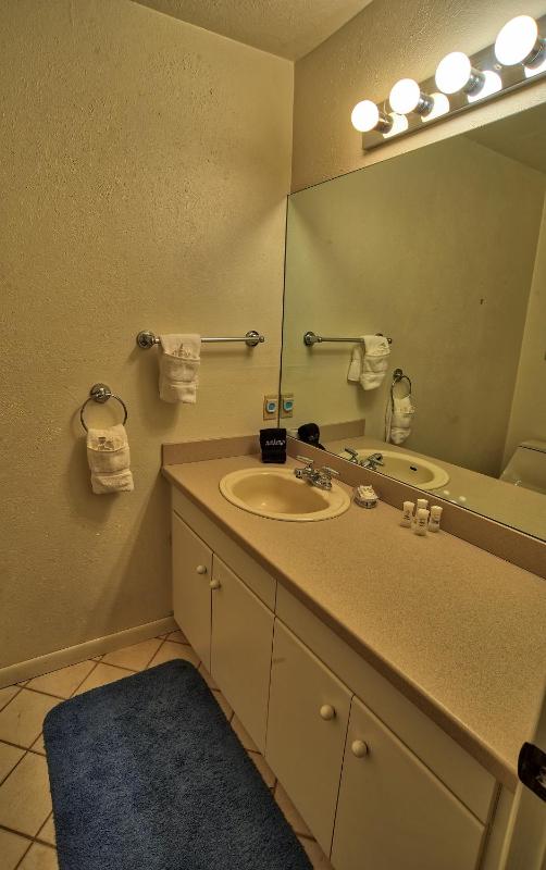 Gold Camp II E87 (Condo) - image 3