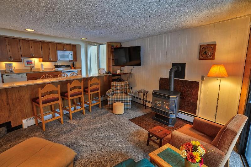 Gold Camp II E87 (Condo) - image 6