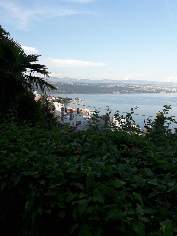Apartment Ana - image 26