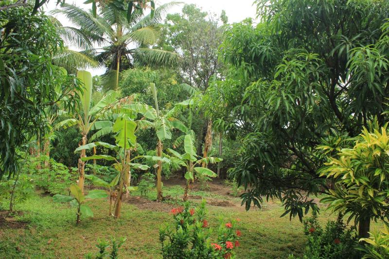 Nature Night Homestay - image 6