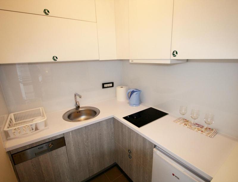 One-Bedroom Apartment image 1