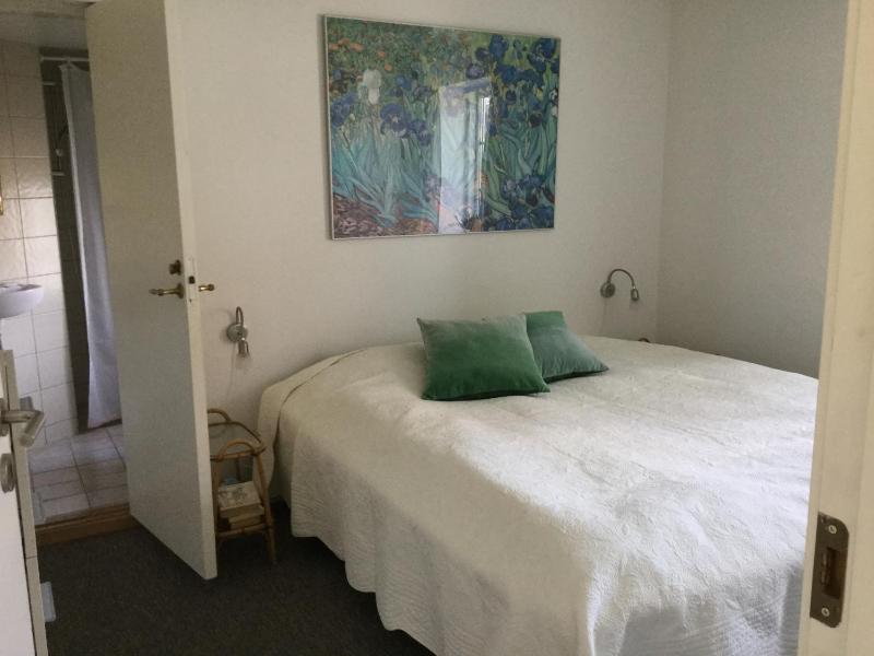 One-Bedroom Apartment image 3