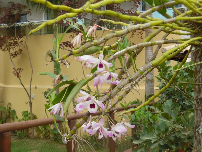 Morada Dos Ventos - image 50