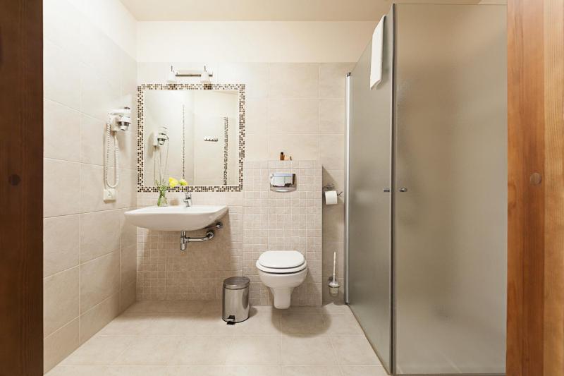 Classic Single Room image 4