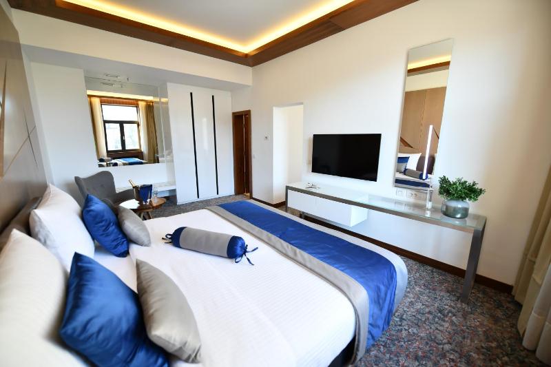Large Double Room image 1