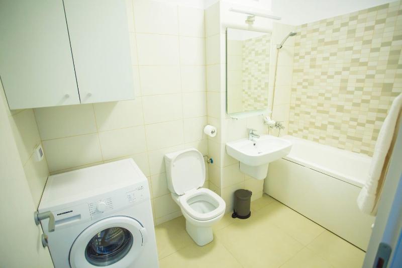 One-Bedroom Apartment image 3