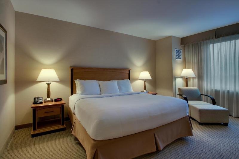 Deluxe King Room image 1