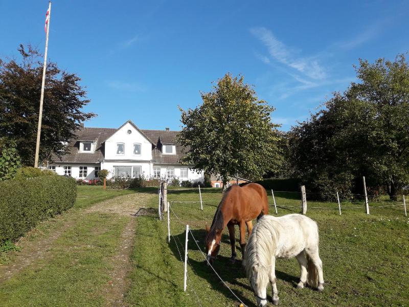 Hansenhof - image 25