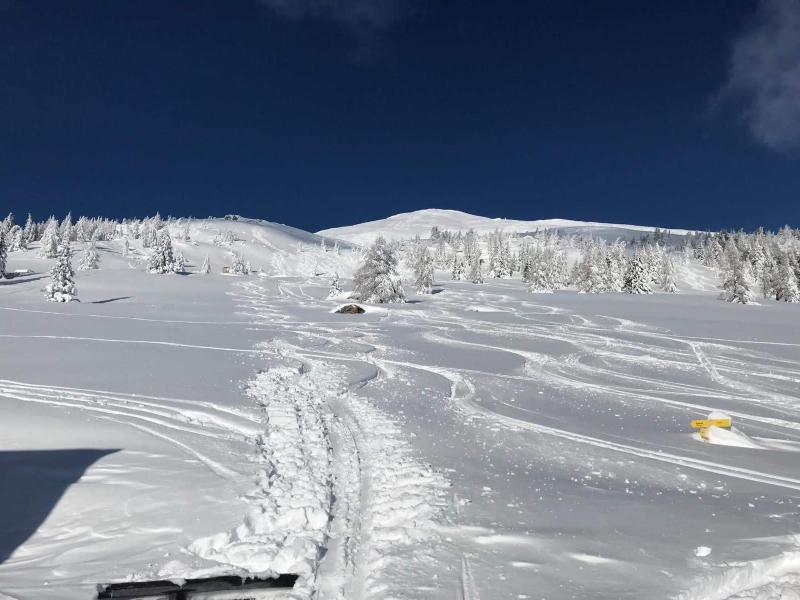 Superior Apartment image 4