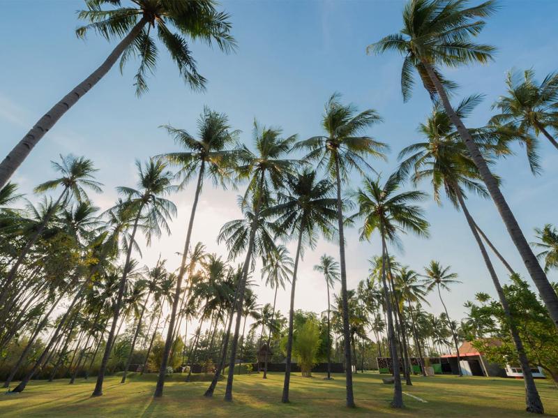 Villa Sapi by Elite Havens - image 30