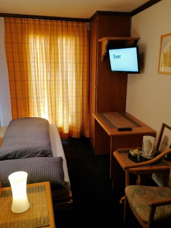 Petit Helvetia Budget Hotel - image 14