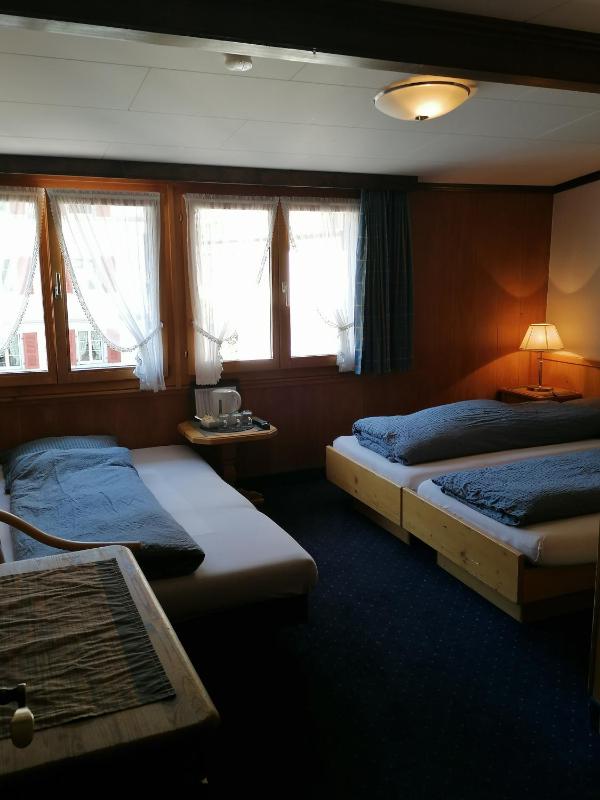 Petit Helvetia Budget Hotel - image 7