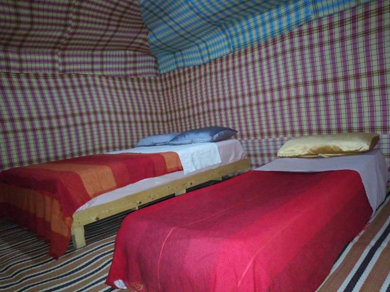 Sahara camel tours camp - image 4