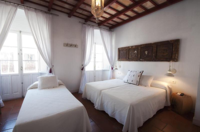 Twin Room with extra bed and terrace image 3
