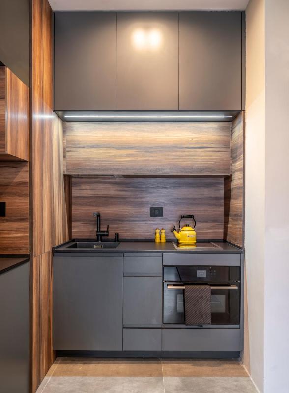 One-Bedroom Apartment image 3