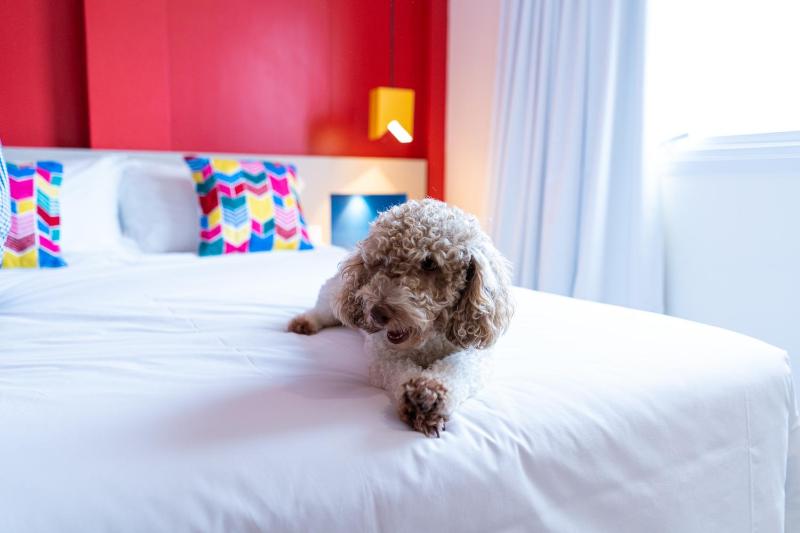 IBIS Styles Campina Grande - image 32