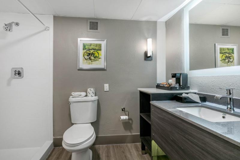 Standard King Room image 2