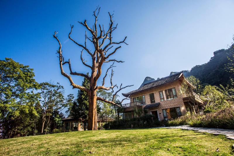 Evergreen Forest Retreat Zhangjiajie Near National Forest Park Avator Park Luxury Nature Escape Free Airport&Train Shuttle Service & Travel itinerary English Speaking Butler - image 32